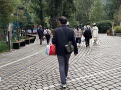 -九寨沟-树正沟