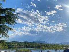 -永定河休闲森林公园