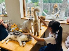 -小时光咖啡馆(开森度假森林店)