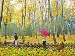 -森林公园(尖草坪区)