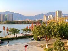 -飞来湖湿地公园