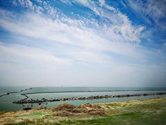 -合肥滨湖国家森林公园