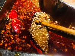 -码头故事火锅(郫县红光店)
