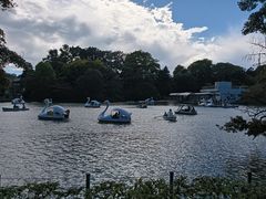 -井之头恩赐公园