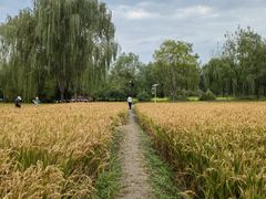 -北坞公园