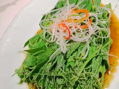 清炒丝瓜尖-四世同堂·京菜·烤鸭(双井店)