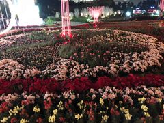 -龙环葡韵住宅式博物馆