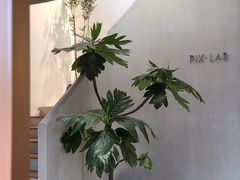 -像素研食The pixlab (皮市街店)