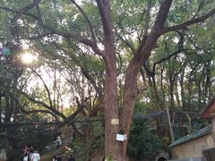 -马王堆汉墓遗址
