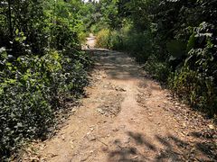 -火炉山森林公园