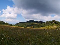 -白草畔自然风景区