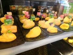 -都念榴莲·城市榴莲