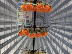 -蛙小侠(柳州万象城店)