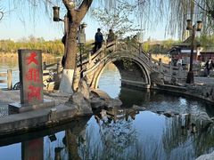 -济南大明湖景区