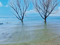 -观澜小洱海