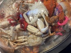 -半岛听涛蒸汽海鲜自助(K11店)