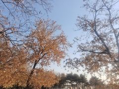 -沈阳市东陵公园