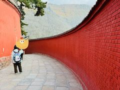 -五台山风景名胜区-罗睺寺