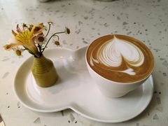-Tomacado花厨(One ITC店)