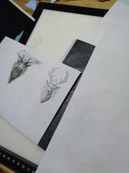 -见雾TATTOO STUDIO
