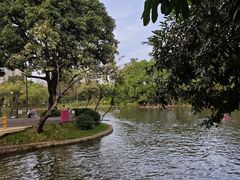 -晓港公园