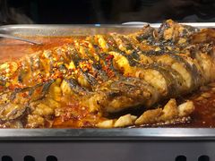 -鱼酷活鱼烤鱼(昆明路店)