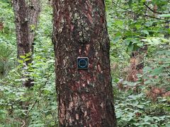 -帽儿山国家森林公园