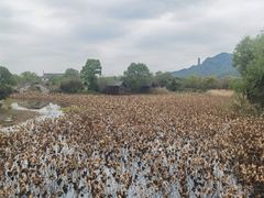 -湘湖大院(越王路店)