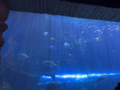 -华夏文旅西安度假区