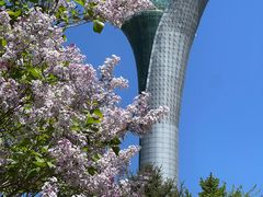 -沈阳植物园