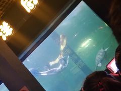 -洛阳龙门海洋馆
