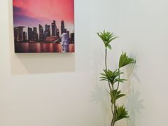 -刘健艺术钢琴学校·专注钢琴教育25周年(徐家汇校区)