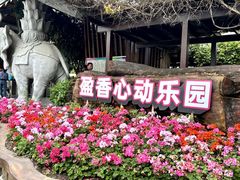 -盈香心动乐园