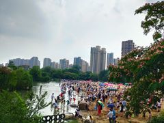 -青枫公园