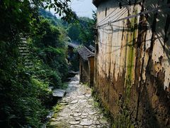 -杨家堂村