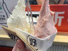 -野人先生现做冰淇淋(西安赛格店)