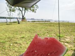-漕湖湿地公园