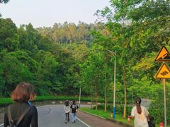 -火炉山森林公园