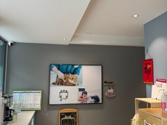 -御宝贝·A梦猫科宠物医院(国际猫友好医院)