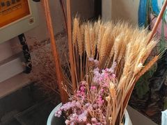 -红楼梦邮局
