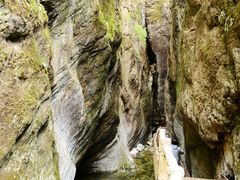 -牛背梁国家森林公园