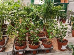 -武汉荟聚