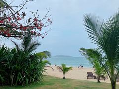 -三亚海棠湾万丽度假酒店