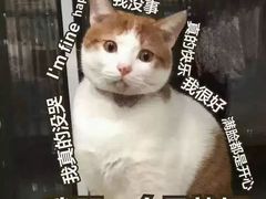 -华辉拉肠(同福店)