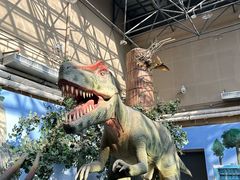 -国家自然博物馆