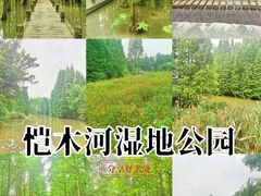 -桤木河湿地公园