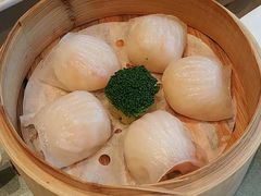 -金苑海鲜酒家(来魅力店)