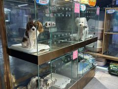 -FAELING PETS美天灵宠物(富力广场店)