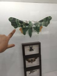 -酷嗒动物文化乐园(cutezoo西溪乐天城店)