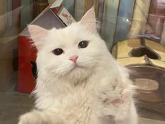 -小时光咖啡馆(开森度假森林店)